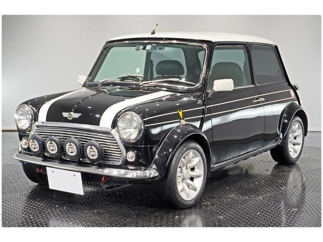 ROVER MINI